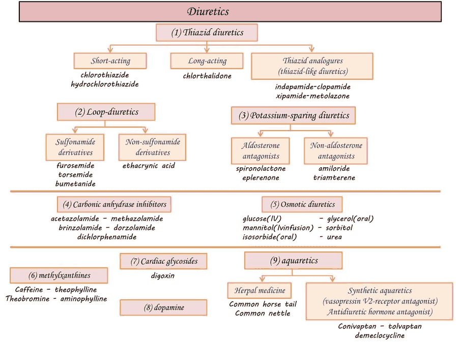 Diuretic Drugs Examples: Clear Guide for Everyday Life