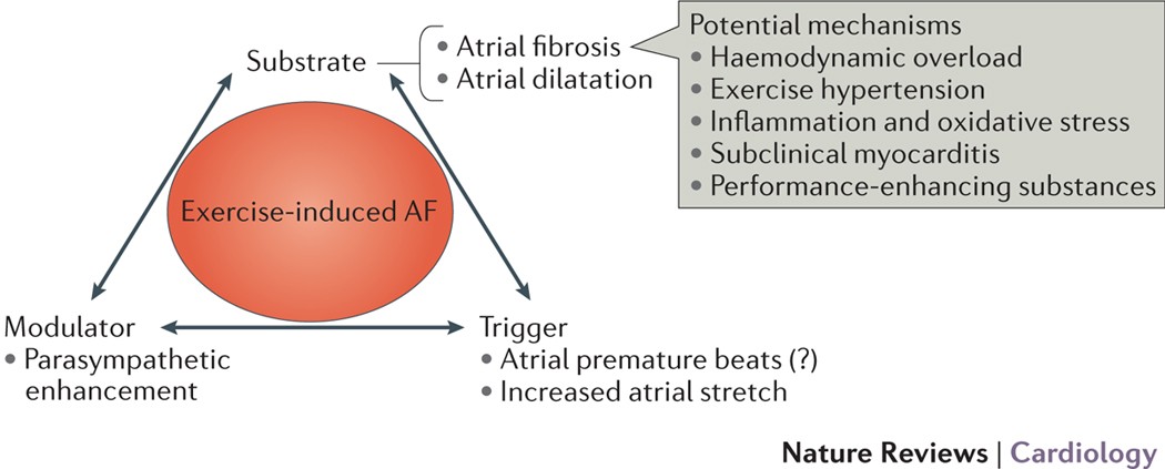 Exercise-Induced Atrial Fibrillation Treatment Guide