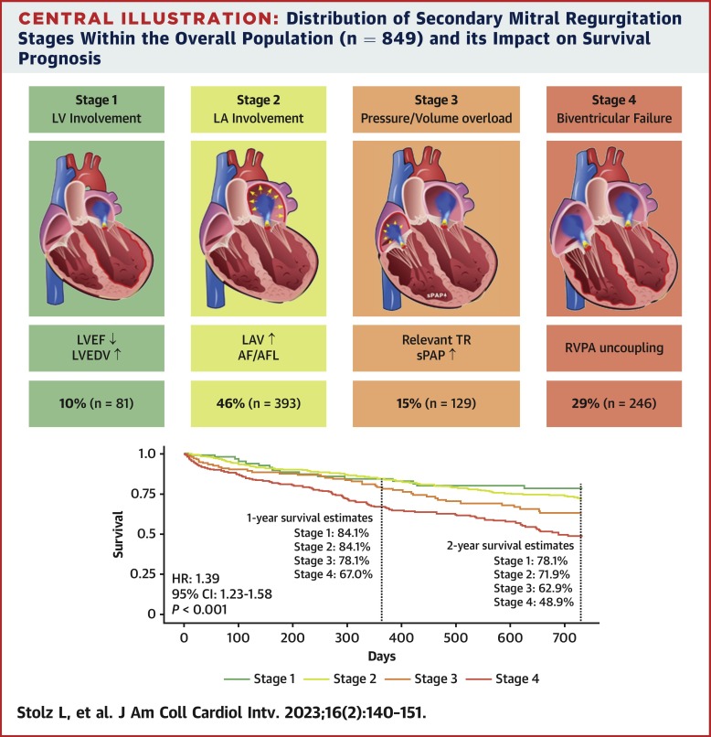 Understanding the Levels of Mitral Valve Regurgitation