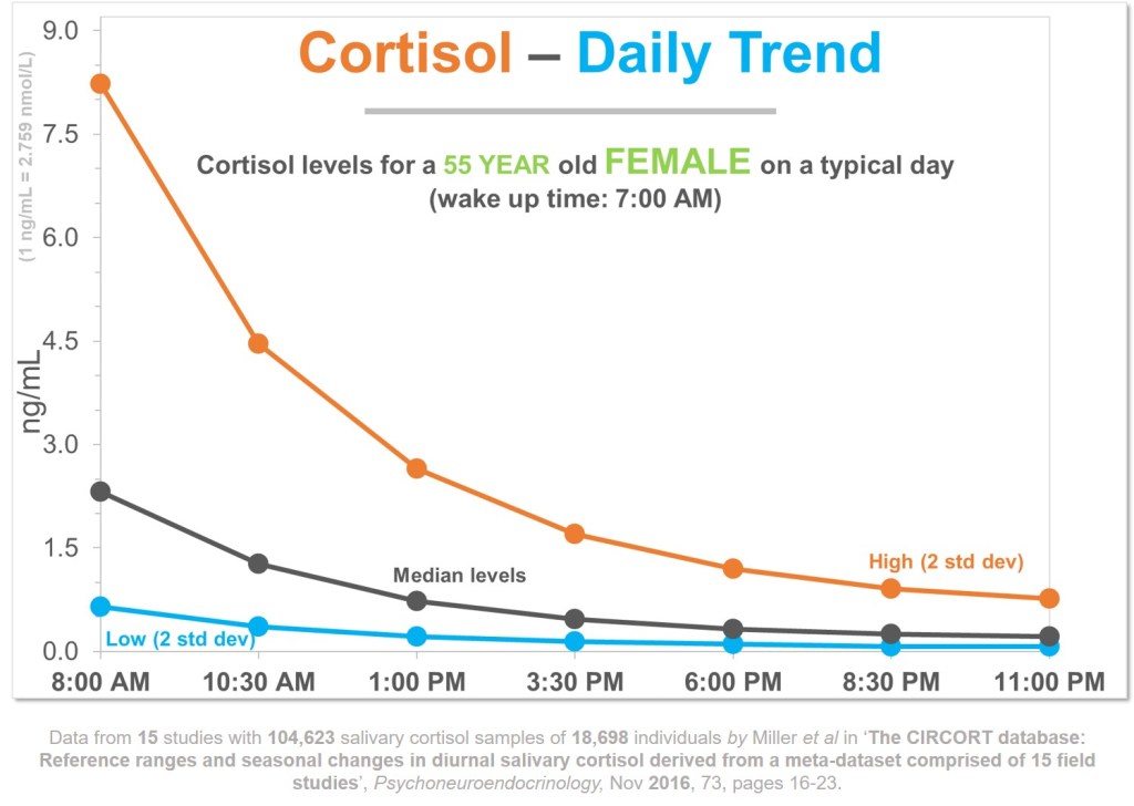 What Is a Normal Cortisol Level for a Woman? Guide