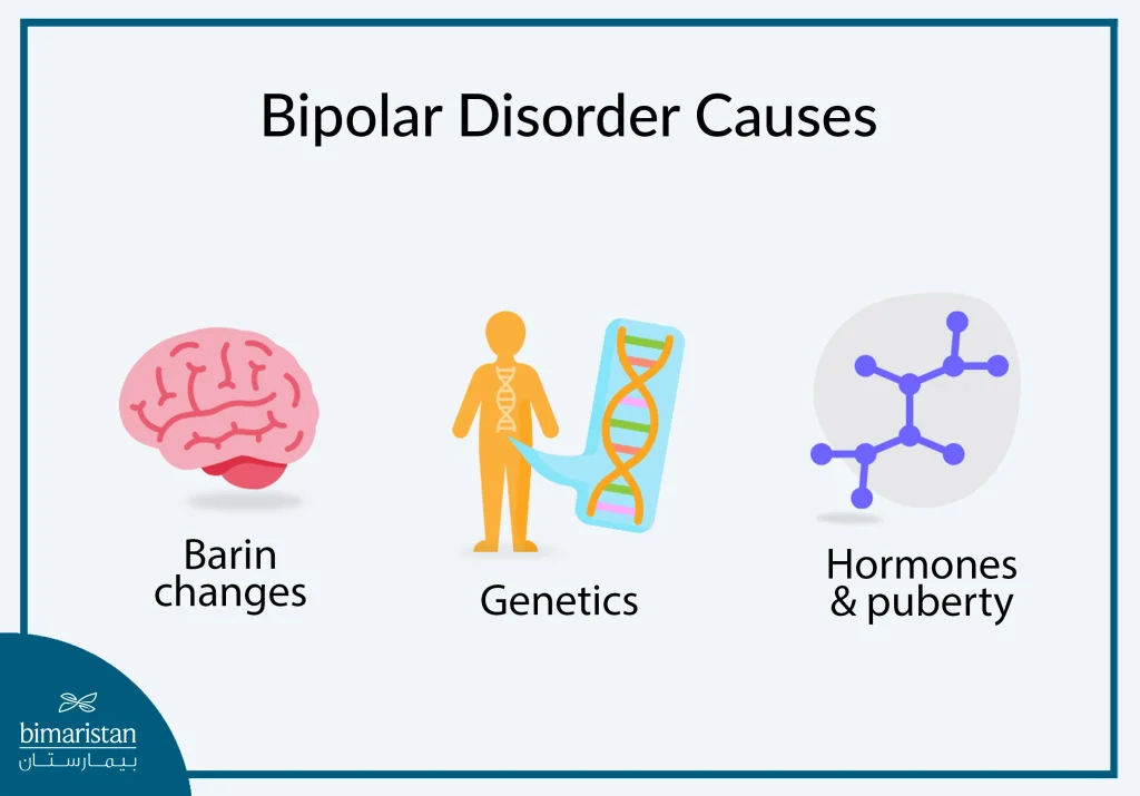 Bipolar disorder causes: What truly triggers moods