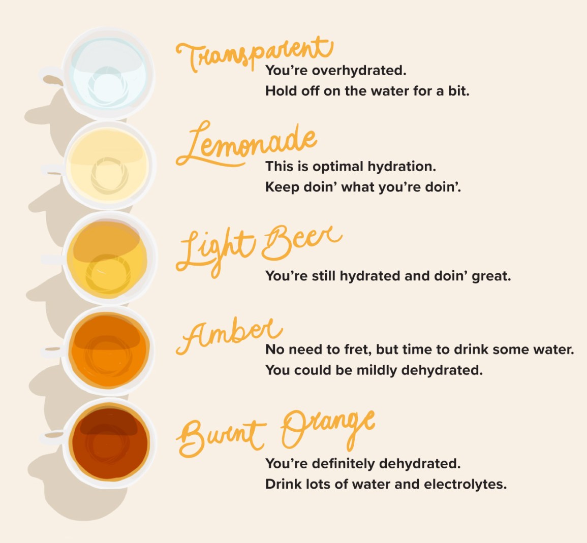 Does Turmeric Make Your Urine Darker? Find Out Now