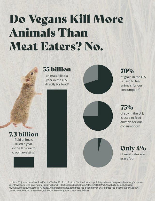 How Many Vegans Die a Year? Facts, Risks & Context