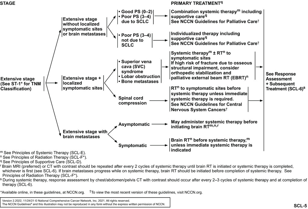 Small Cell Lung Cancer Treatment Guidelines Overview