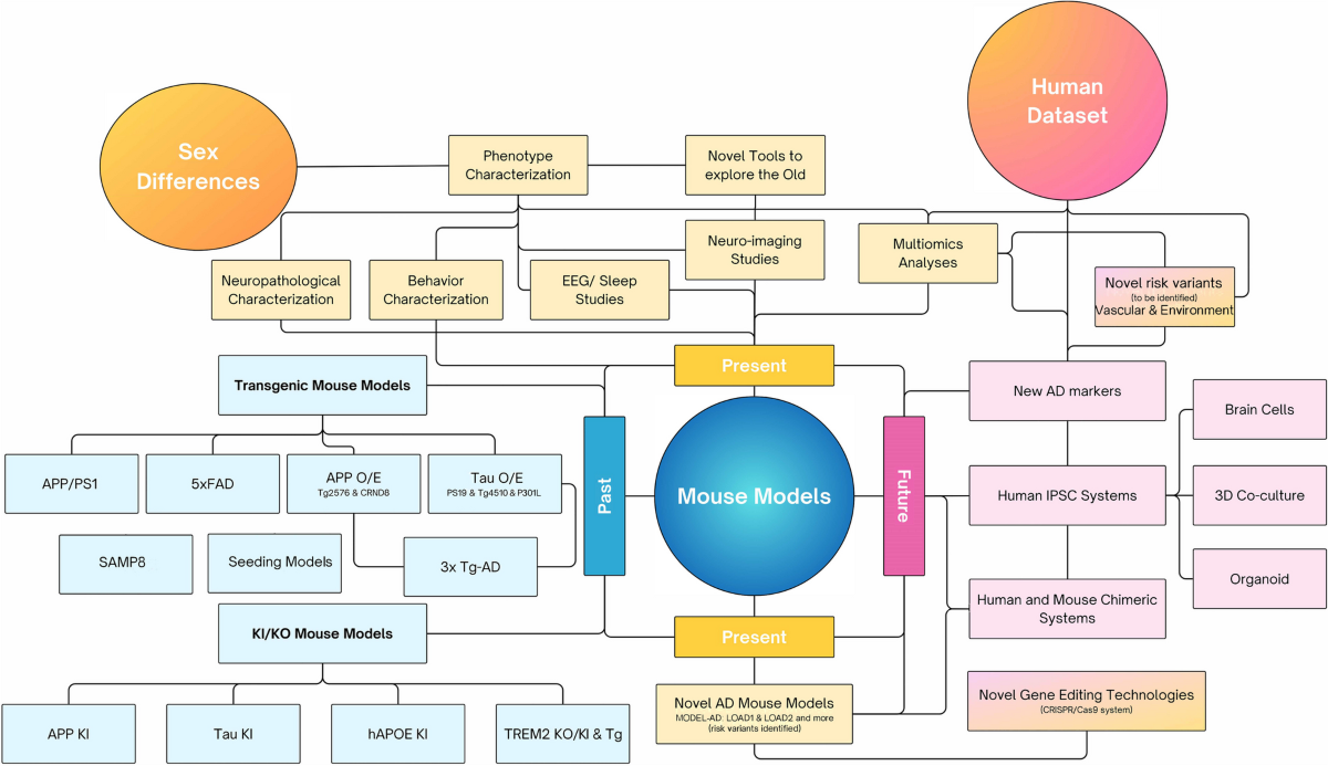 Updates on Mouse Models of Alzheimer’s Disease