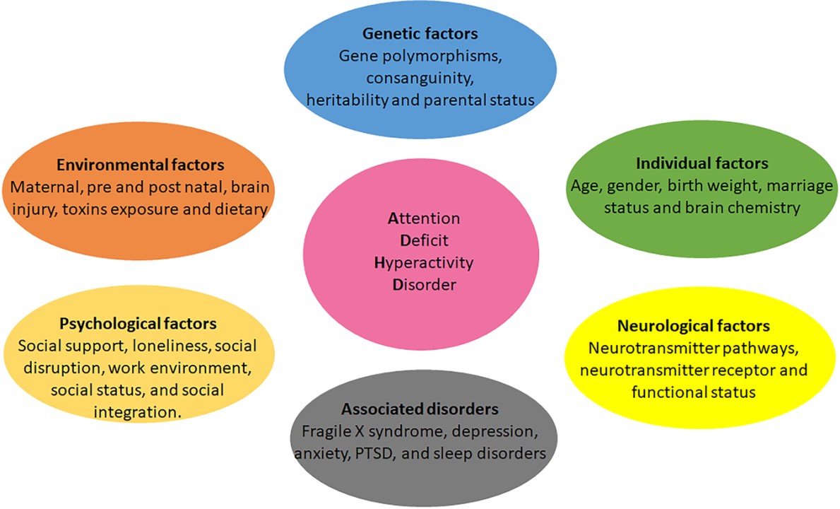 Environmental Causes of ADHD – What Science Shows Today