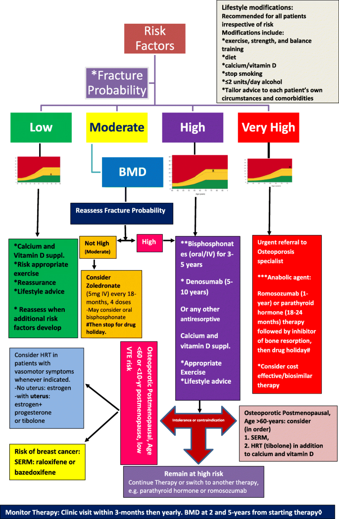 Osteoporosis Treatment Guidelines: What You Need to Know Now