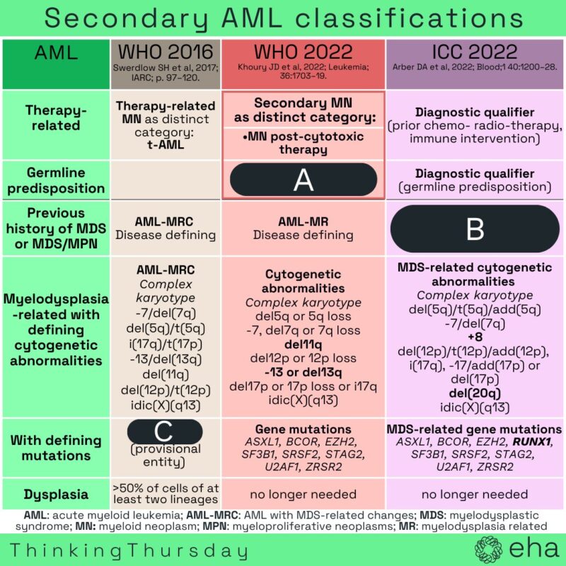 Secondary AML Treatment: Options, Risks & Survival