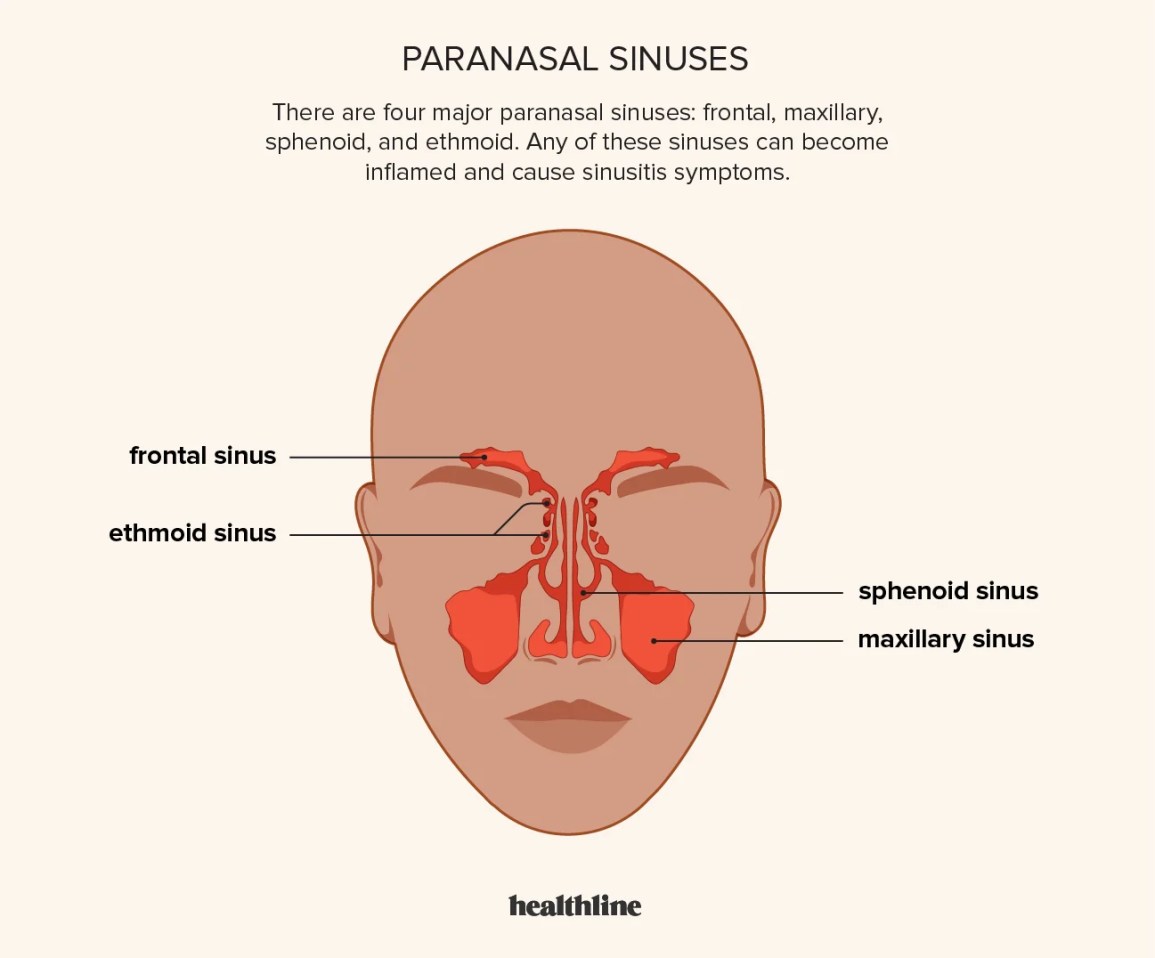 Sinus Headache After Massage: Causes & Relief