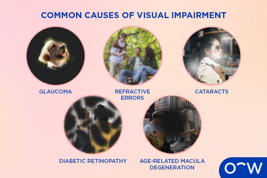 Types of Vision Problems: A Friendly, Quick Guide