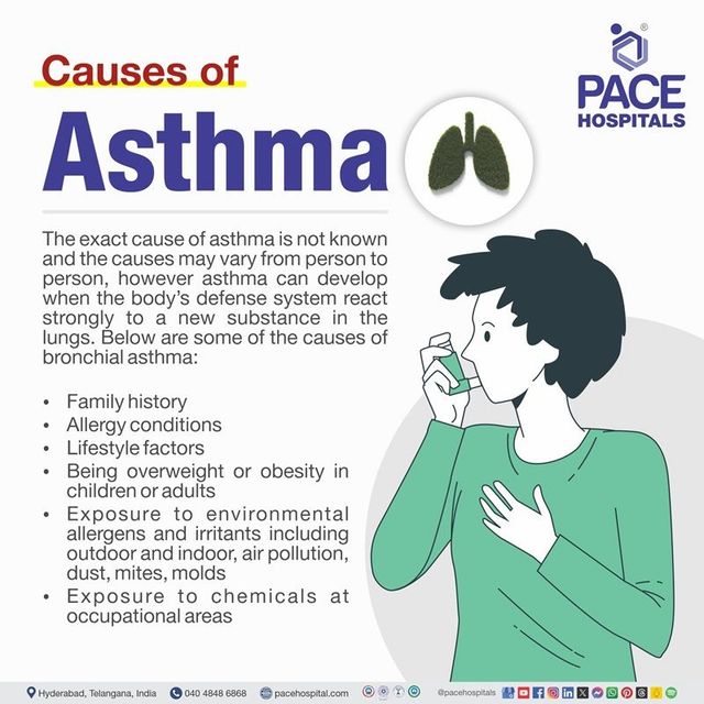 What Are 5 Causes of Asthma? Quick, Clear Answers
