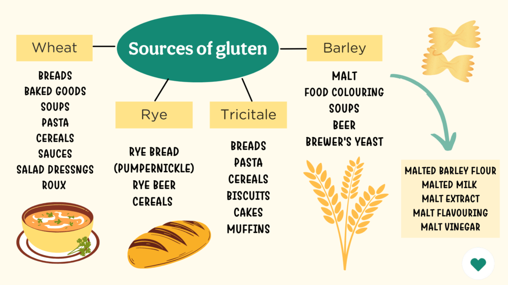 What is Gluten Made of? Quick Facts & Why It Matters