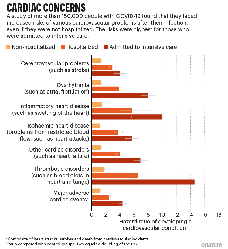 COVID and Heart Issues 2023: Essential Facts & Tips You Need