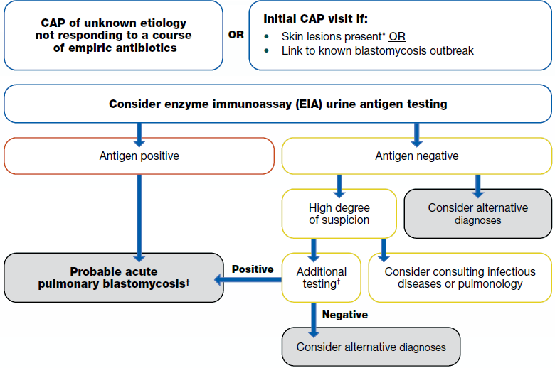 How Is Blastomycosis Diagnosed? Quick Answers & Steps