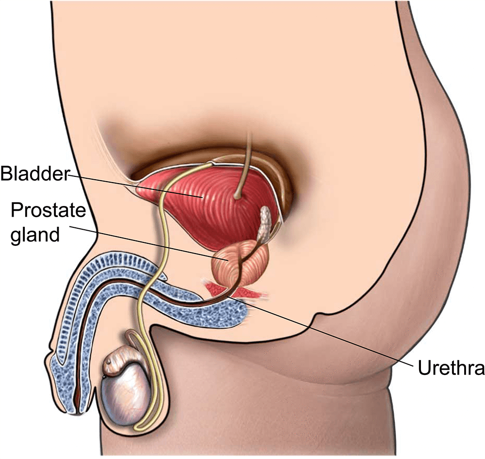 How Long to Recover from Prostate Surgery – Timeline