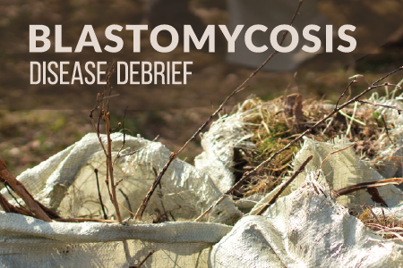 How to Get Rid of Blastomycosis in Soil: Proven Steps