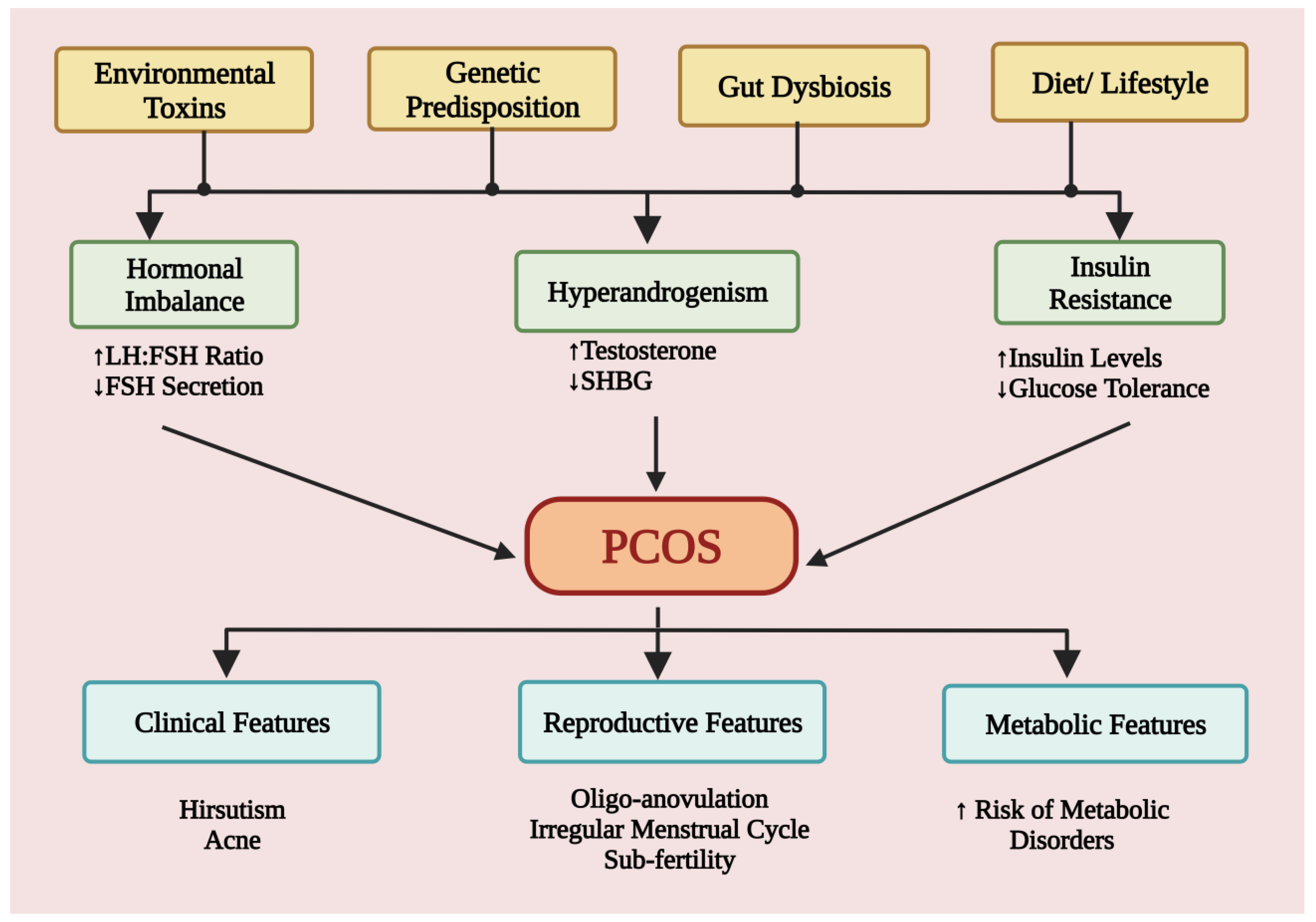 PCOS Management Guidelines: Your 2023‑2024 Roadmap