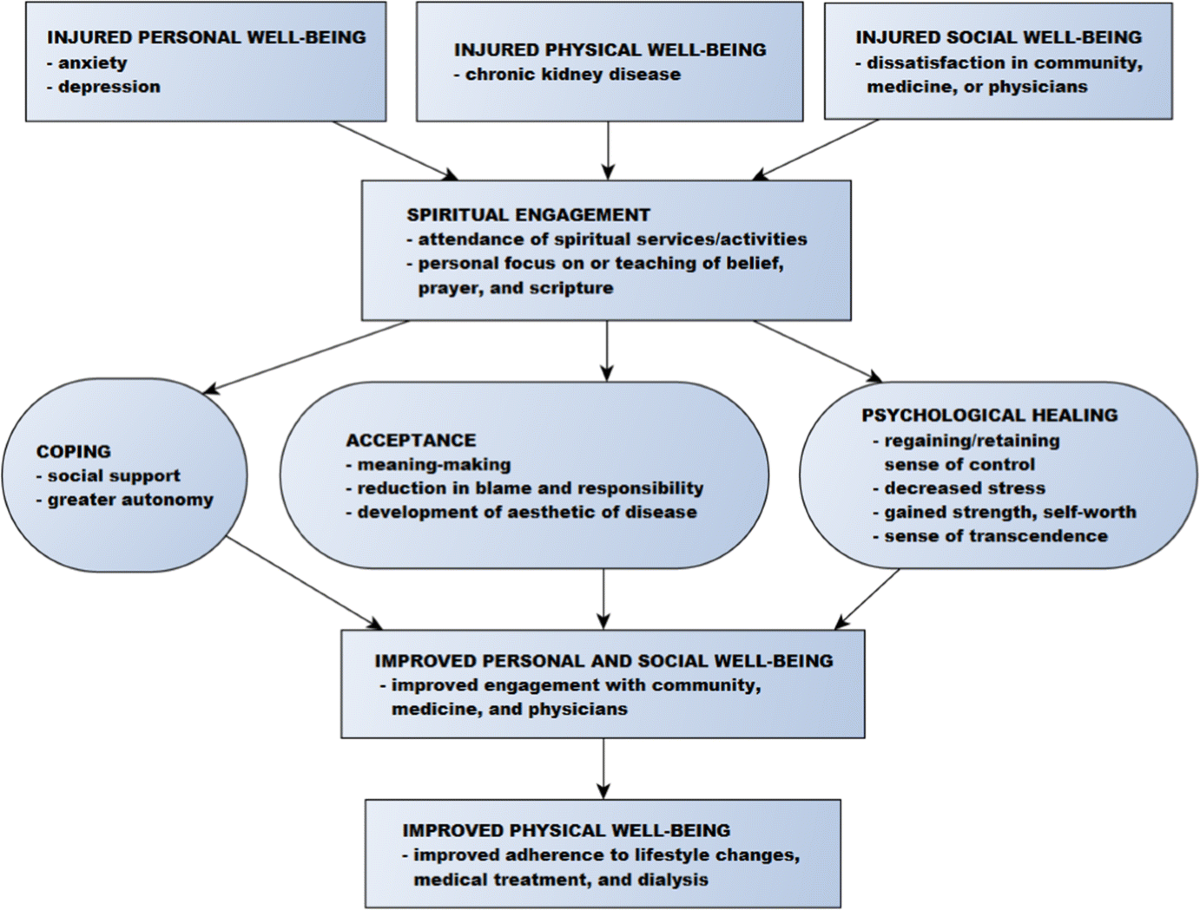 Spiritual Reason for Kidney Problems – Soul Insights