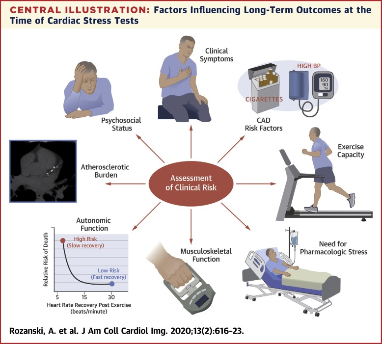 Types of Stress Tests for Heart: Complete Quick Guide