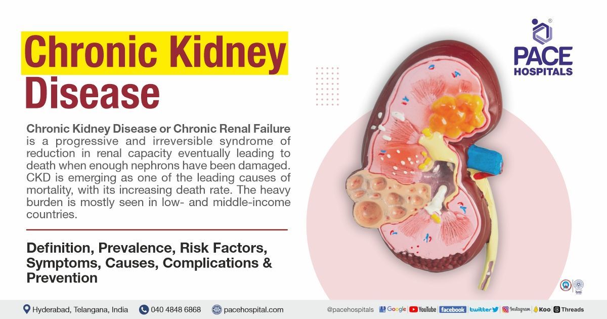 What Does Stressed Kidneys Mean? Quick Facts & Tips
