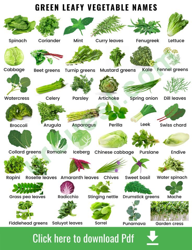 Leafy Greens List: 13 Nutritious Options for Health