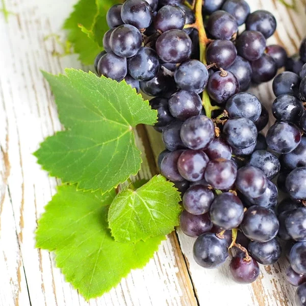 Are Black Grapes Good for Diabetes? Quick Truth