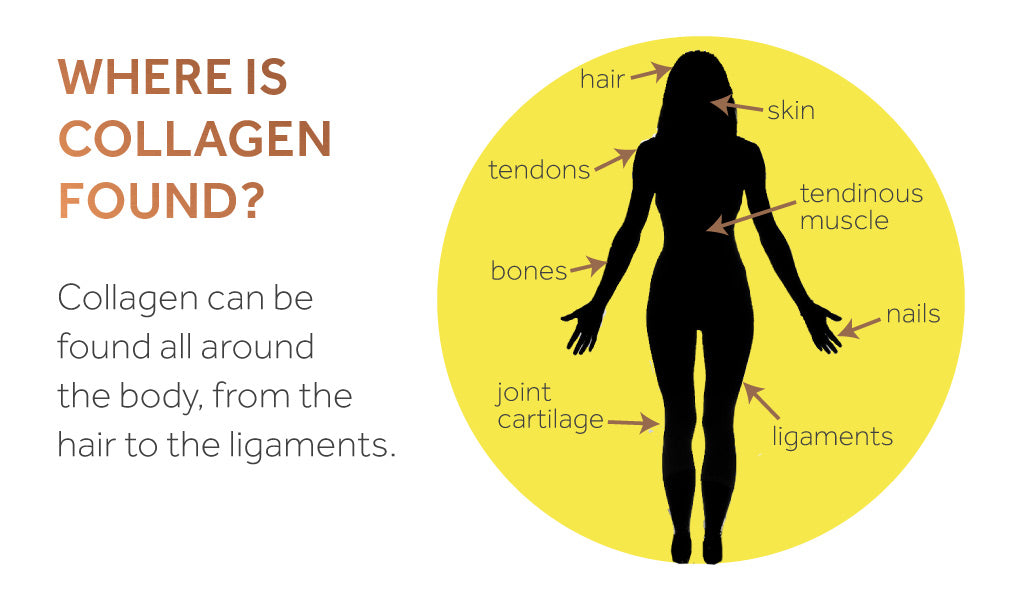 Collagen Weight Gain: Myths, Facts & How to Use It Right