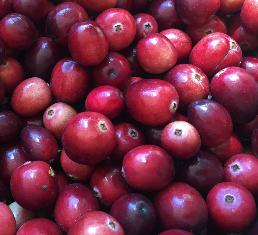 Cranberries Fruit Benefits: 10 Ways to Boost Health