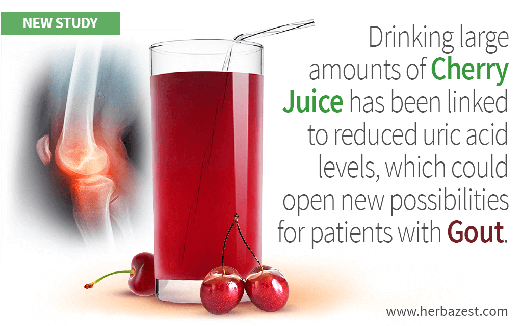 Is Cherry Juice Good for Gout Relief? Find the Truth