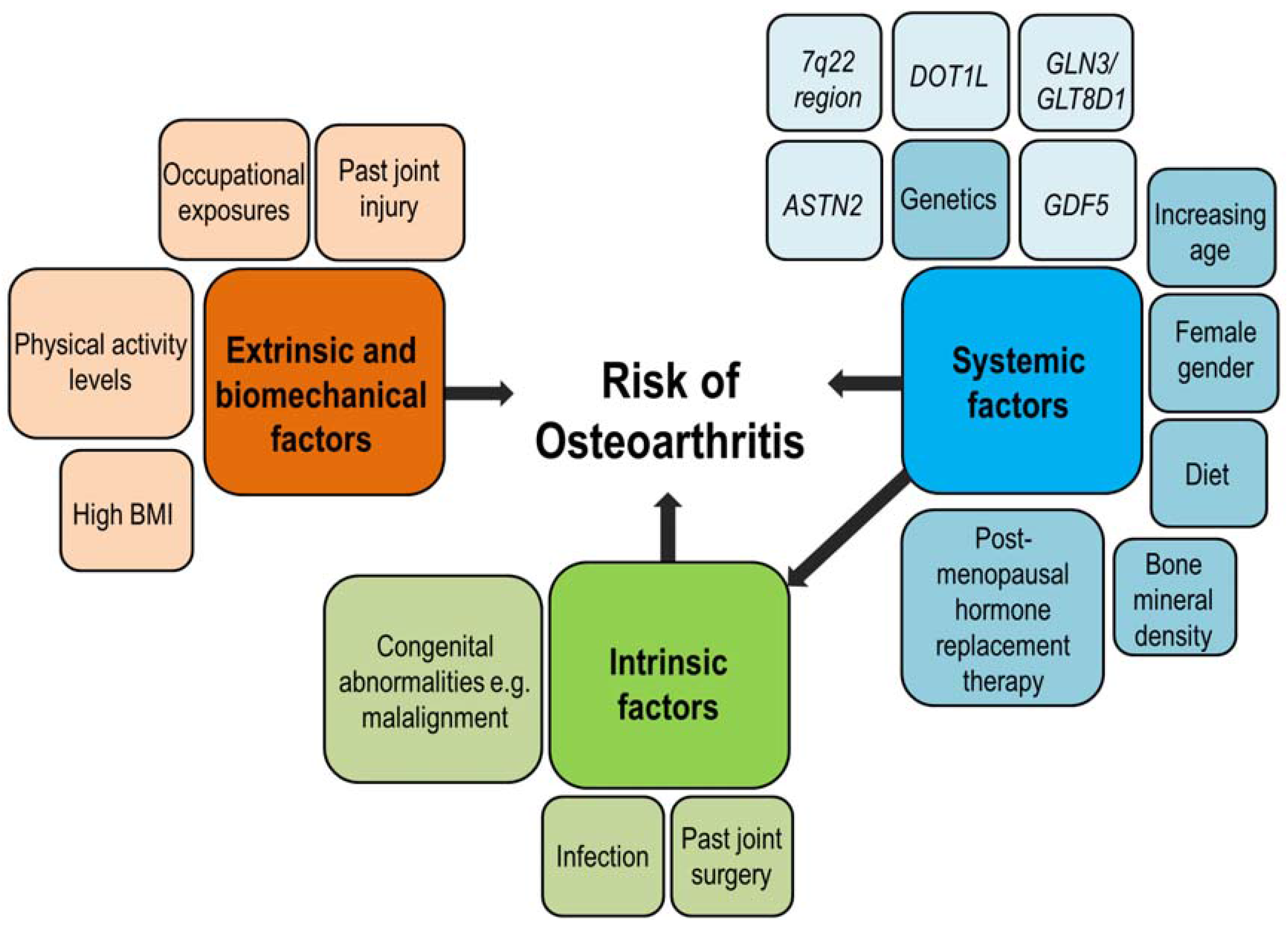 Is Osteoarthritis Genetic? The Facts You Need to Know