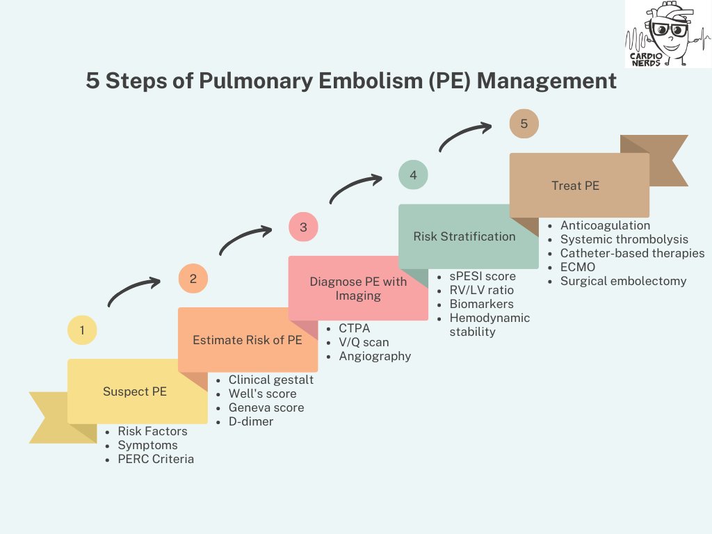 Stages of Pulmonary Embolism: What You Need to Know