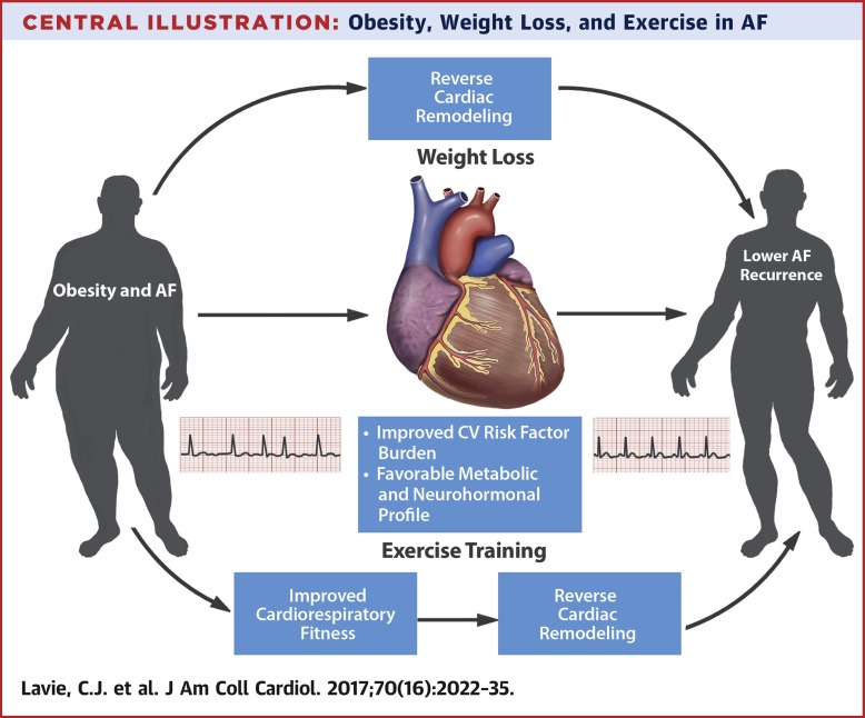 Can You Reverse AFib with Diet and Exercise?