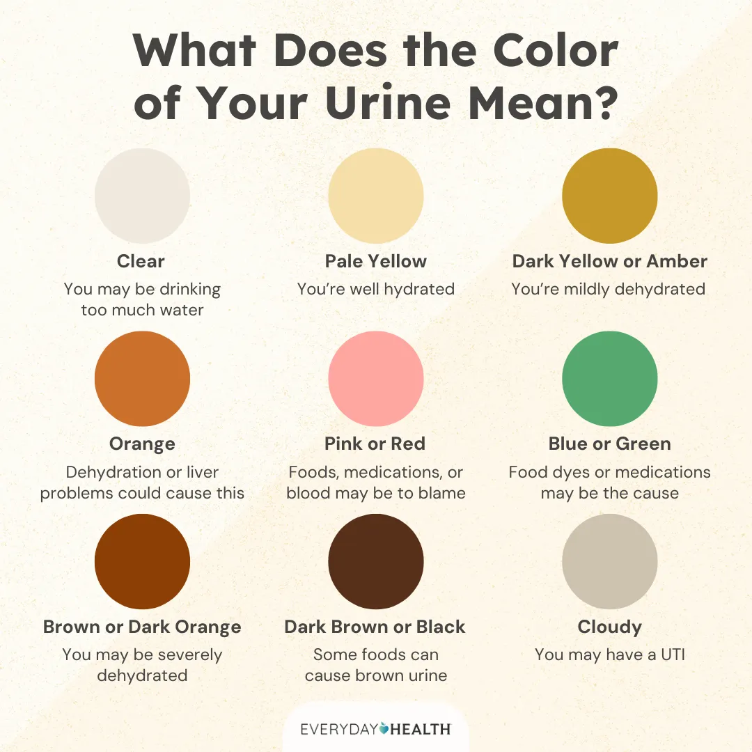 Does Turmeric Make Pee Smell? The Surprising Truth