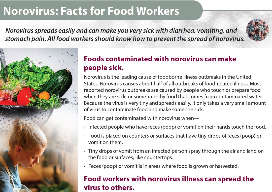 How Long Does Norovirus Live on Paper and Surfaces?
