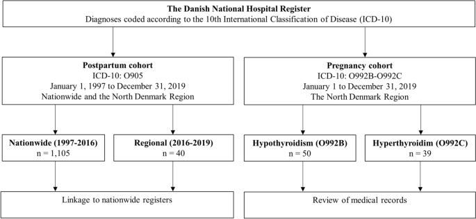 Hypothyroidism in Pregnancy ICD-10 Codes: Quick Guide
