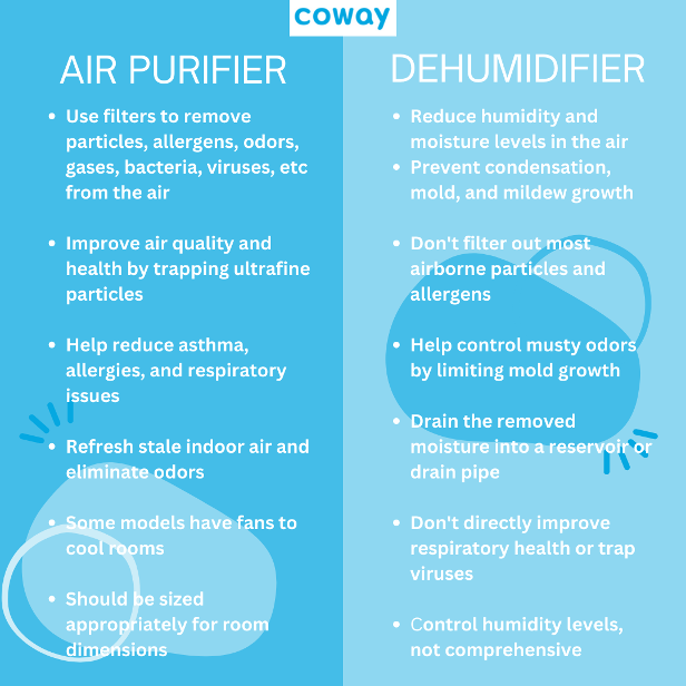 Air Purifier Benefits vs Humidifier – Which Is Best?