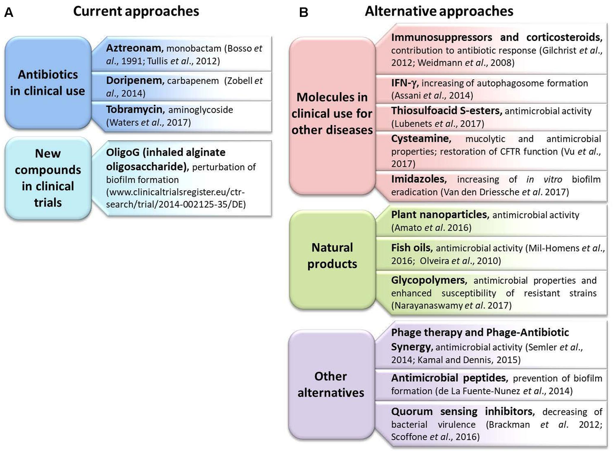 Burkholderia cepacia cystic fibrosis treatment guide