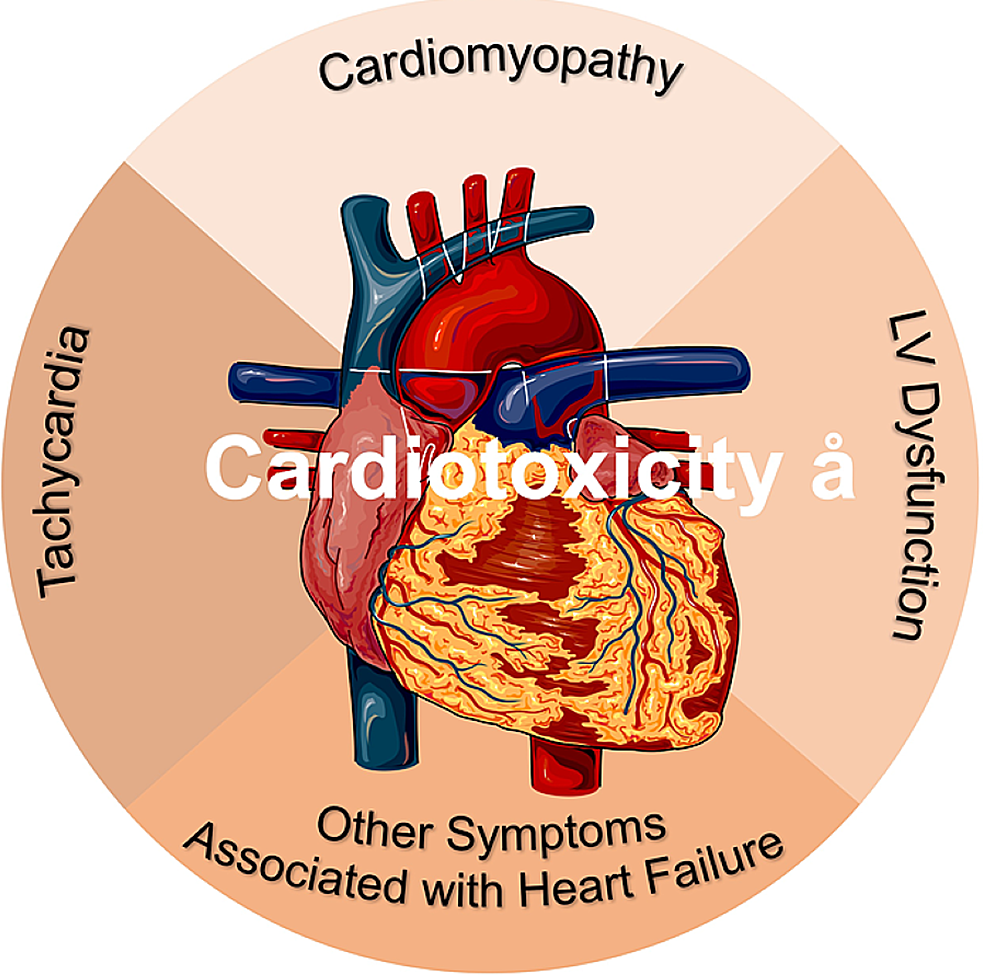 Cardiotoxicity: Protecting Your Heart During Cancer
