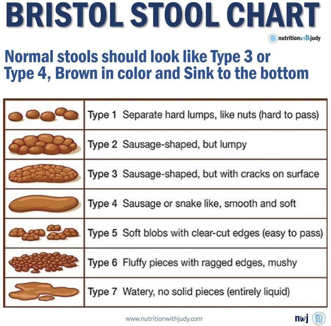 Carnivore Diet Poop Chart: What to Expect & Read