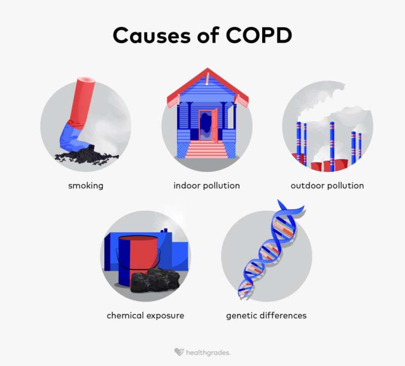 How Does Air Pollution Cause COPD? Simple Guide