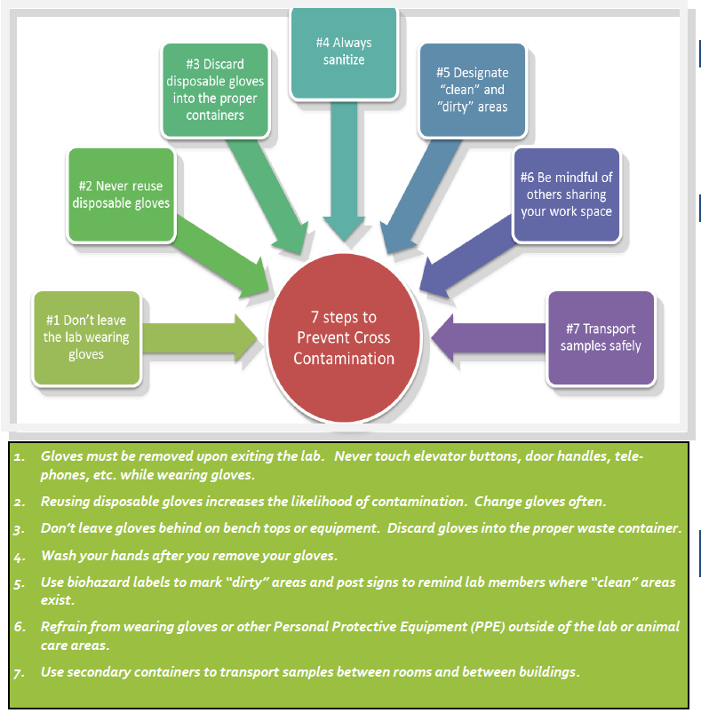 How to Prevent Cross Infection: Simple Steps