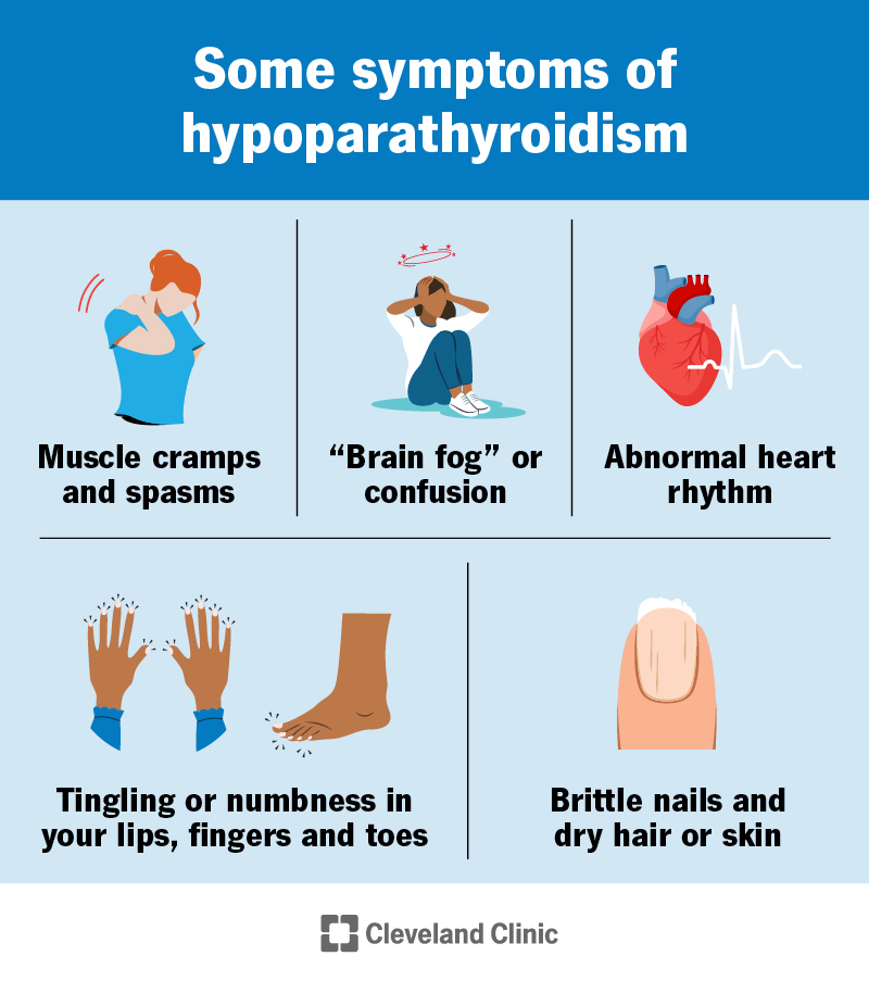 Is Low Calcium Dangerous? What You Need to Know Today