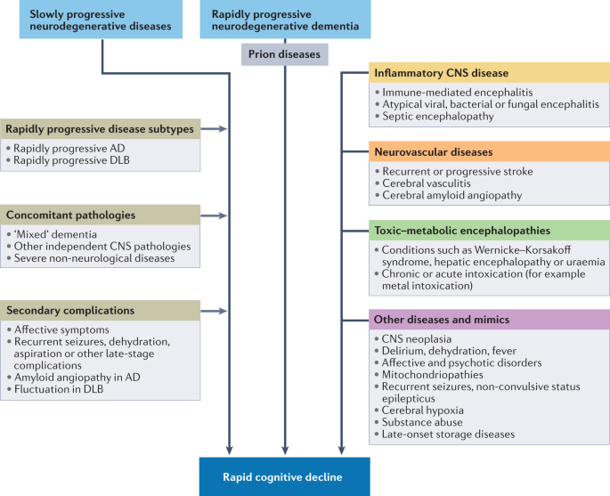 Rapidly Progressive Dementia Death: Key Facts