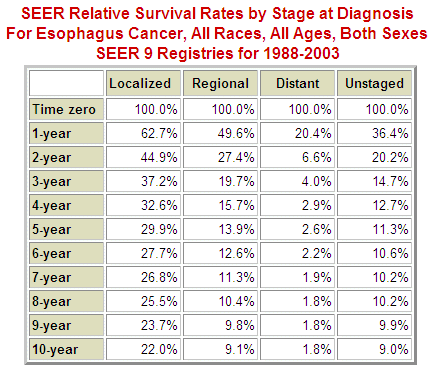 Stage 1 Esophageal Cancer Survival Rate – Key Facts