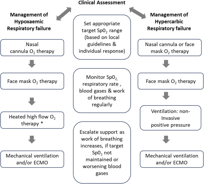 Standards for Cystic Fibrosis Care – Maintaining Health