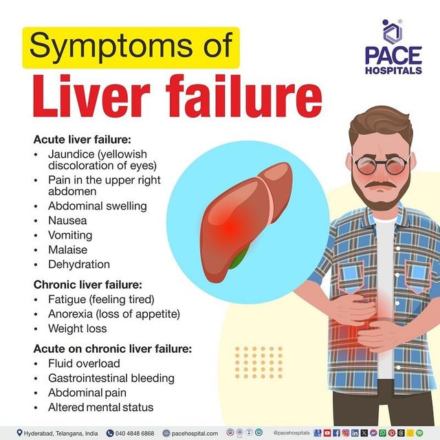 What Are the First Signs of a Bad Liver? Find Out