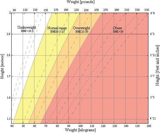 Your Friendly Guide to Using a BMI Calculator Today