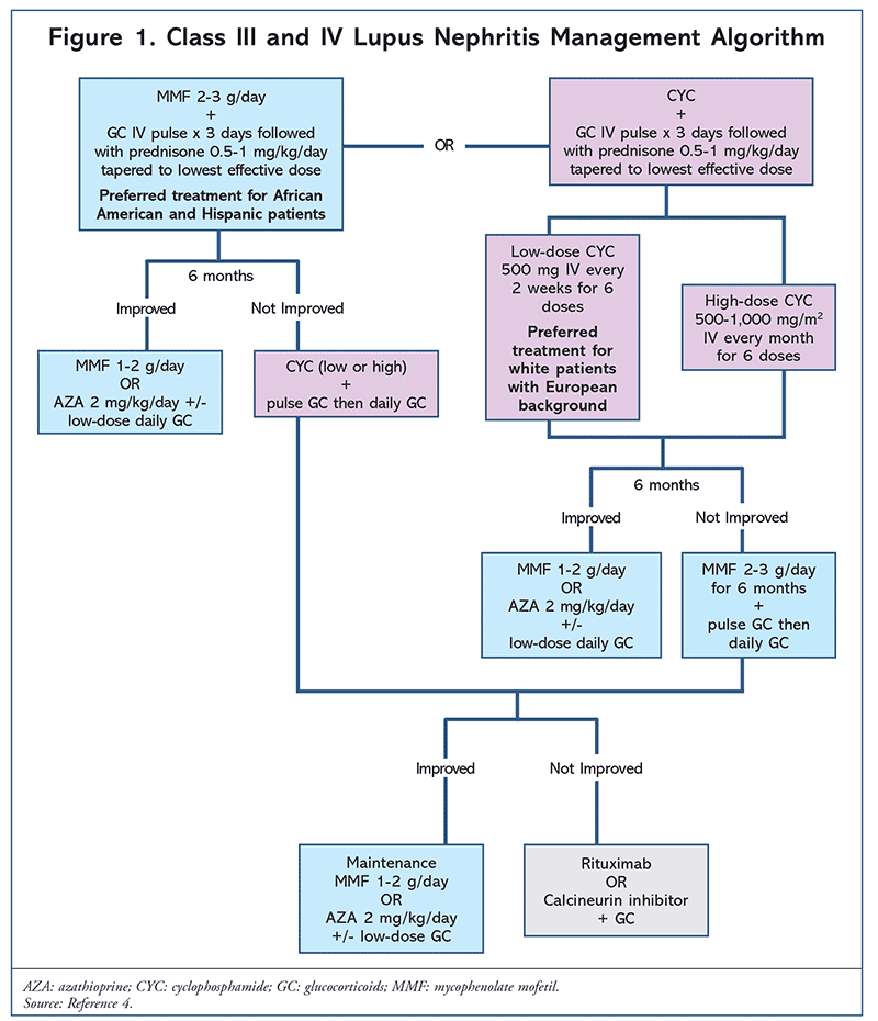Lupus Treatment: Options, Risks & How to Choose the Right Plan