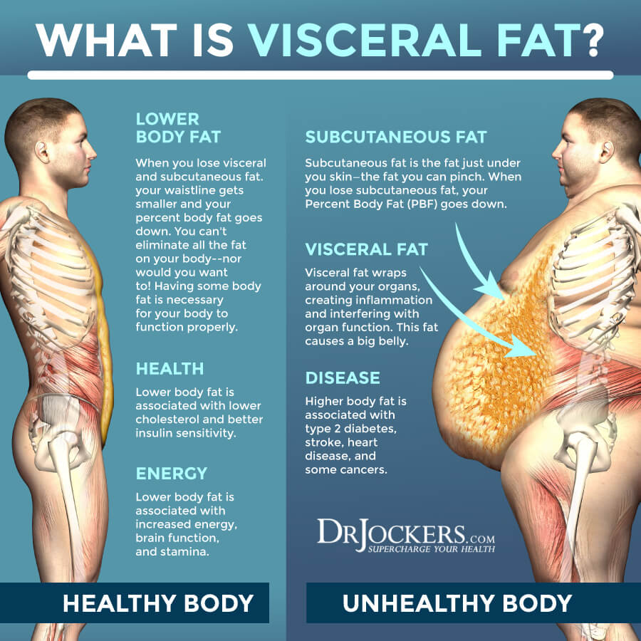 Signs You Are Losing Visceral Fat – NHS Guidelines