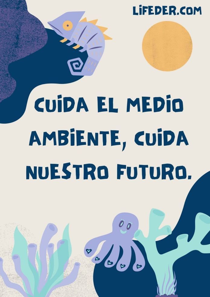 100 Frases Para Cuidar El Medio Ambiente